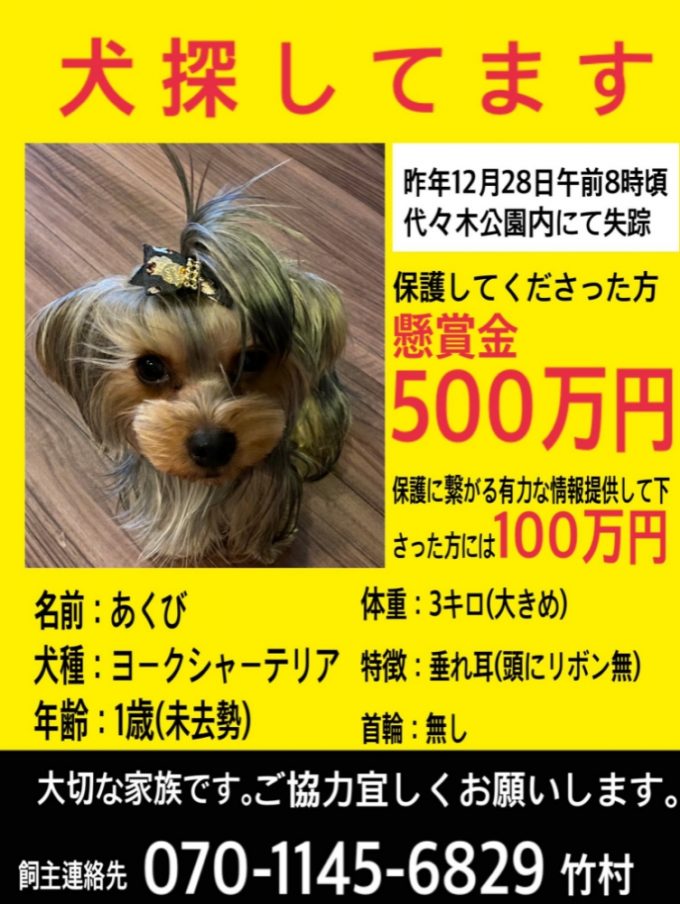 Step001