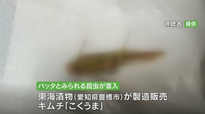 こくうまキムチにキリギリス混入 | これ知っておけばOK!（簡単にすぐ分かる!）