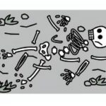 白骨（遺体）殺人03