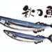 さんま（サンマ）・秋刀魚15